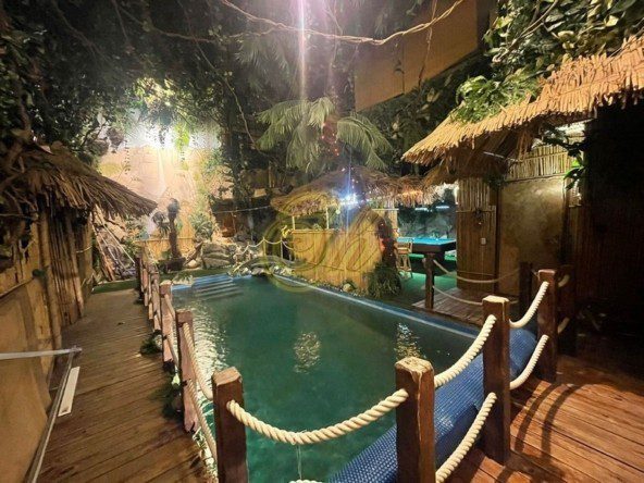 МОЛОКОВА япония