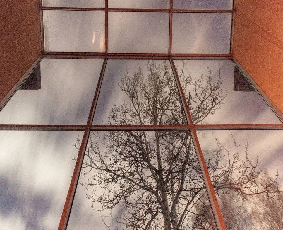 НАХАБИНО люкс